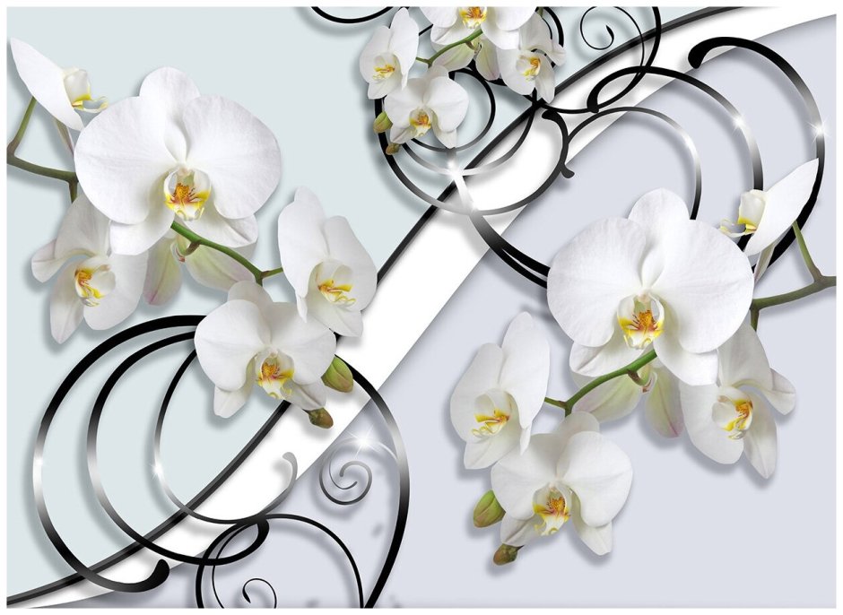 Орхидеи 3d