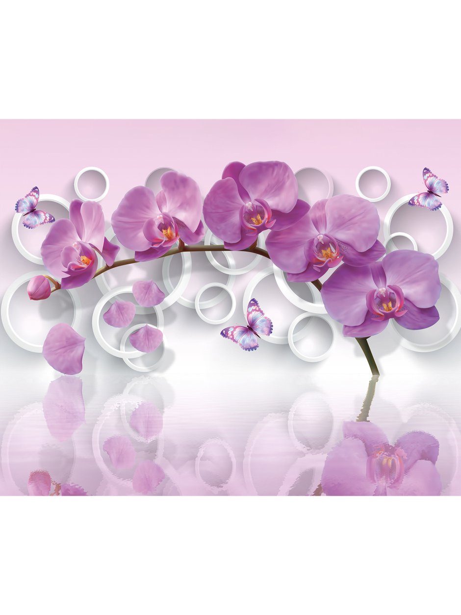 Фотообои орхидеи на стену