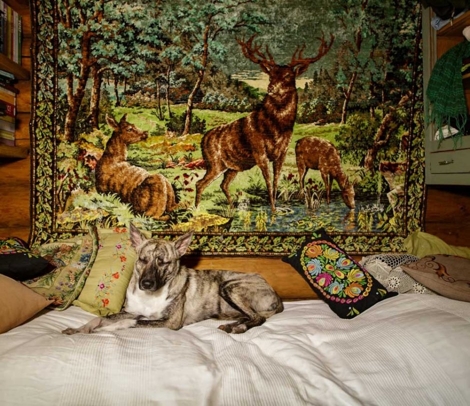 Ковры с животными на стену