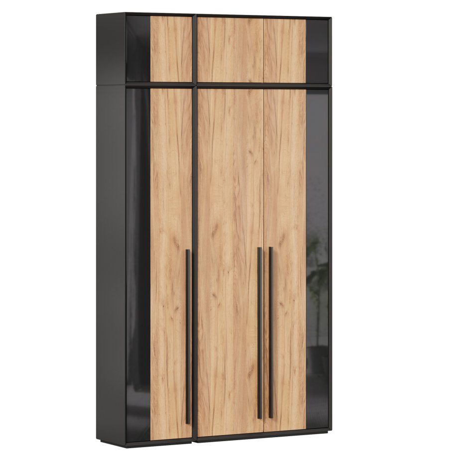 Шкаф распашной Зодиак 3.10