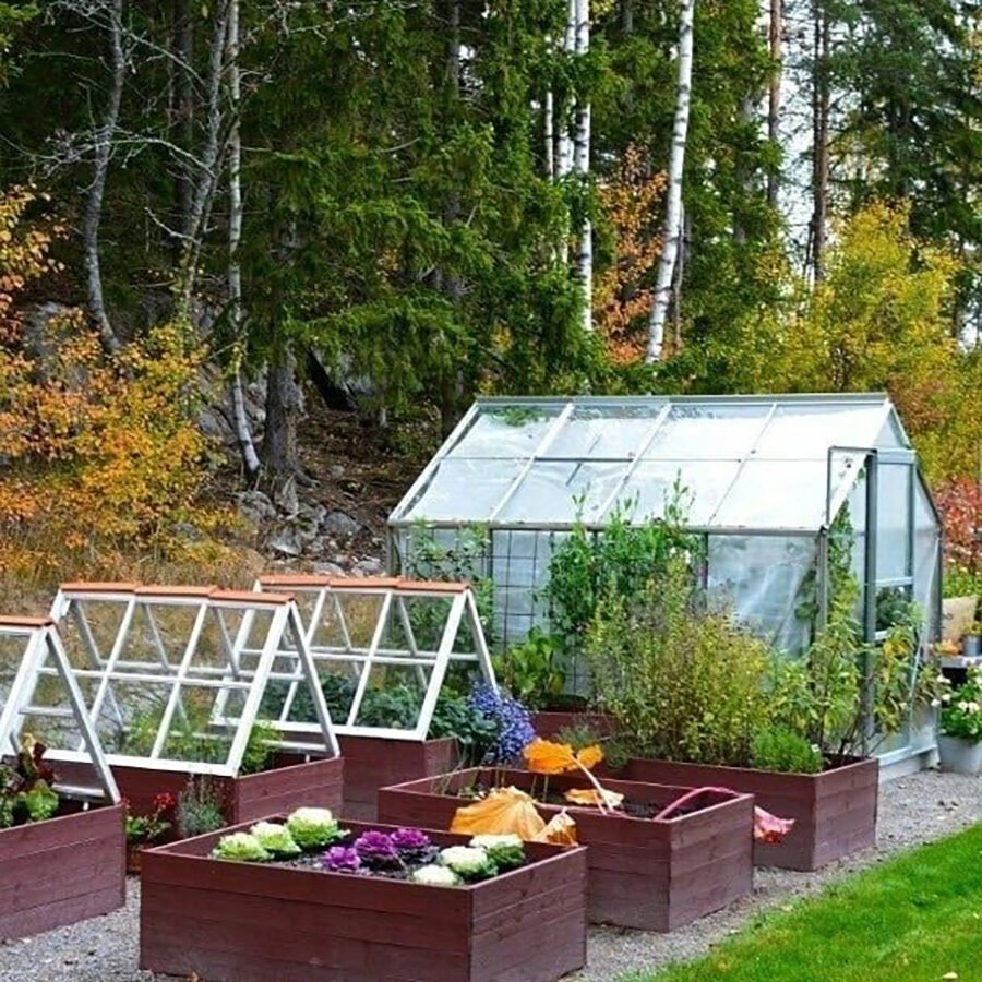 Красивый огород с теплицей