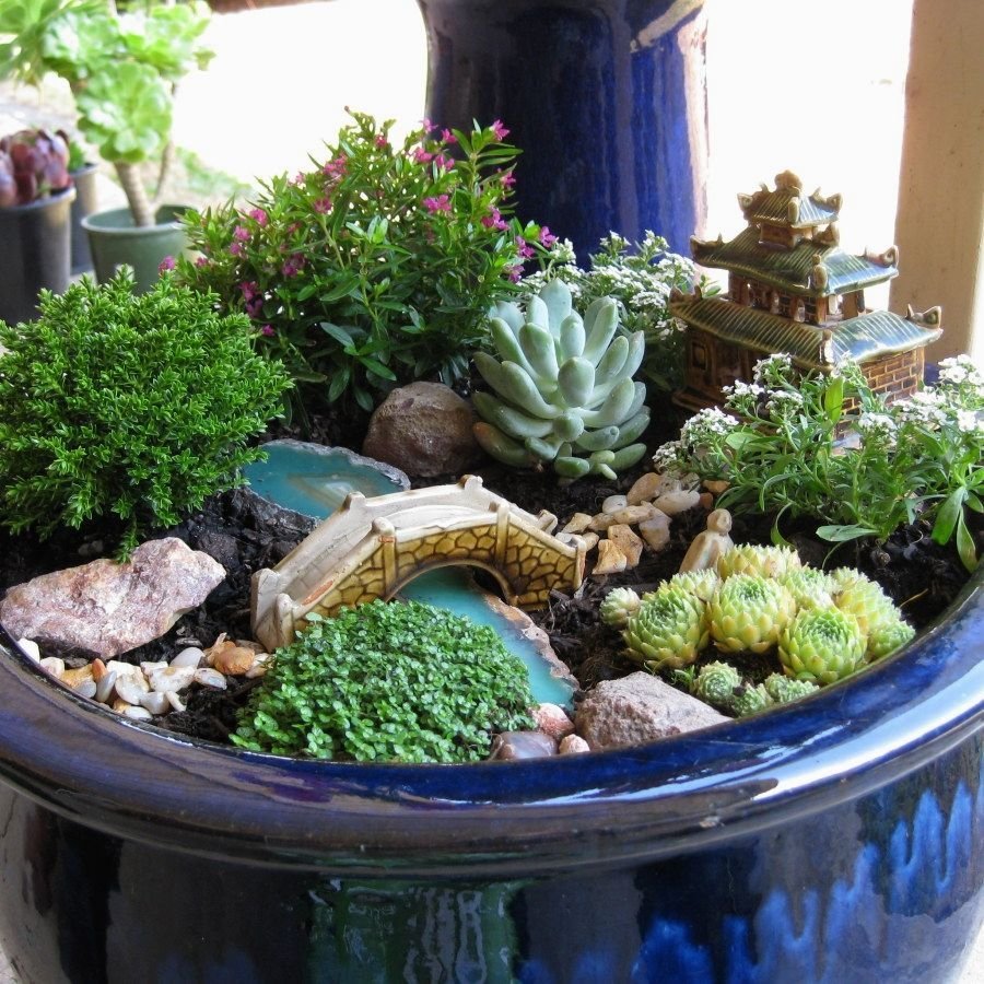 Мини альпинарий в горшке
