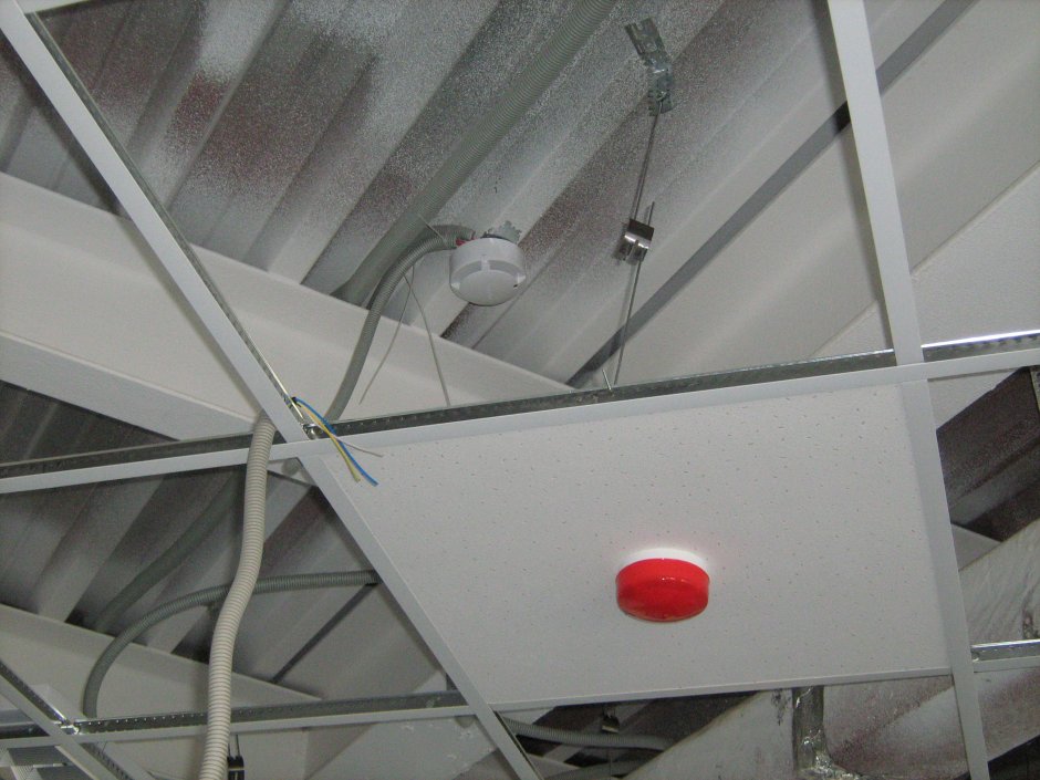 Натяжные потолки с бабочками