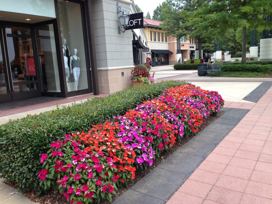 Санпатиенс клумба