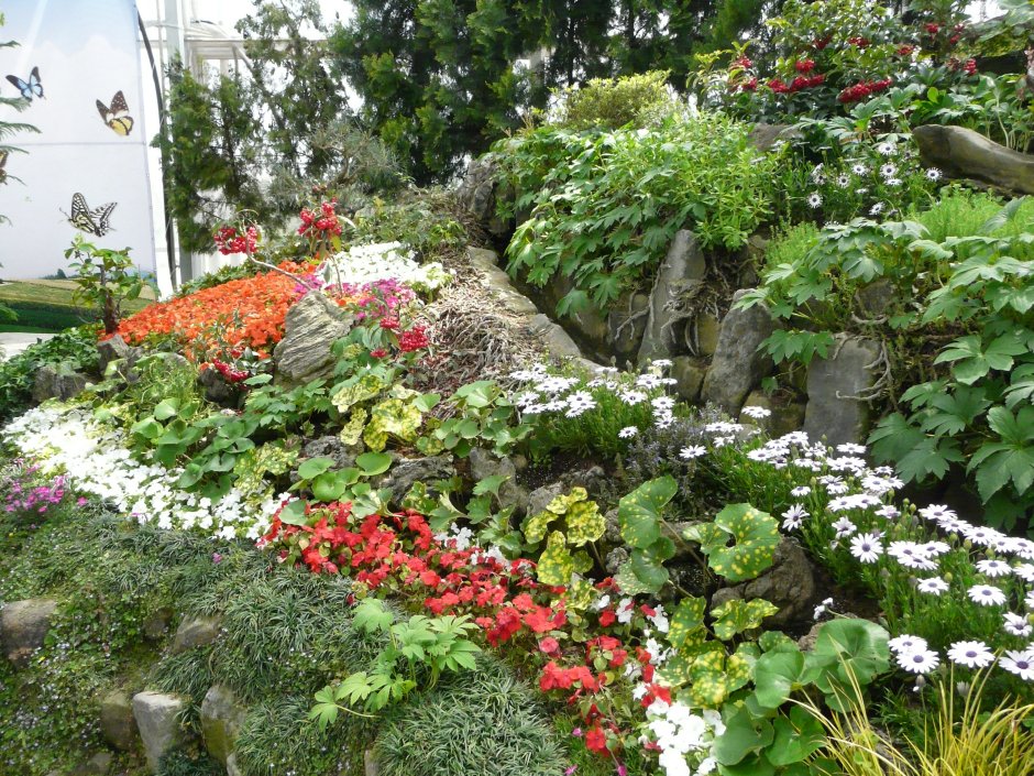 Композиция с бальзамином и хостами