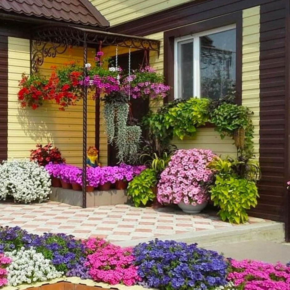 Украшение беседки петунией