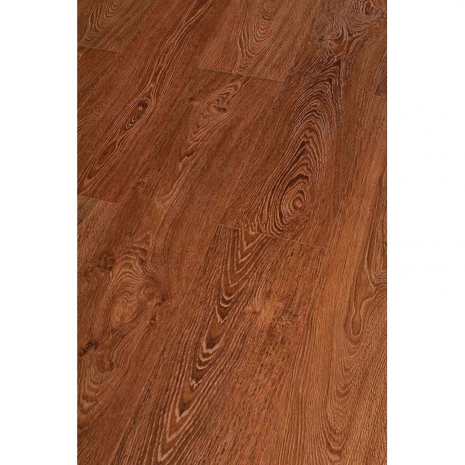 Дуб Янтарный 1587