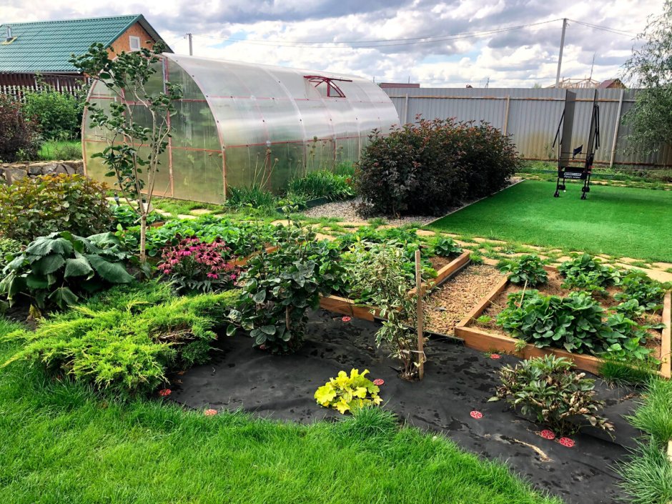 Грядки под 45%