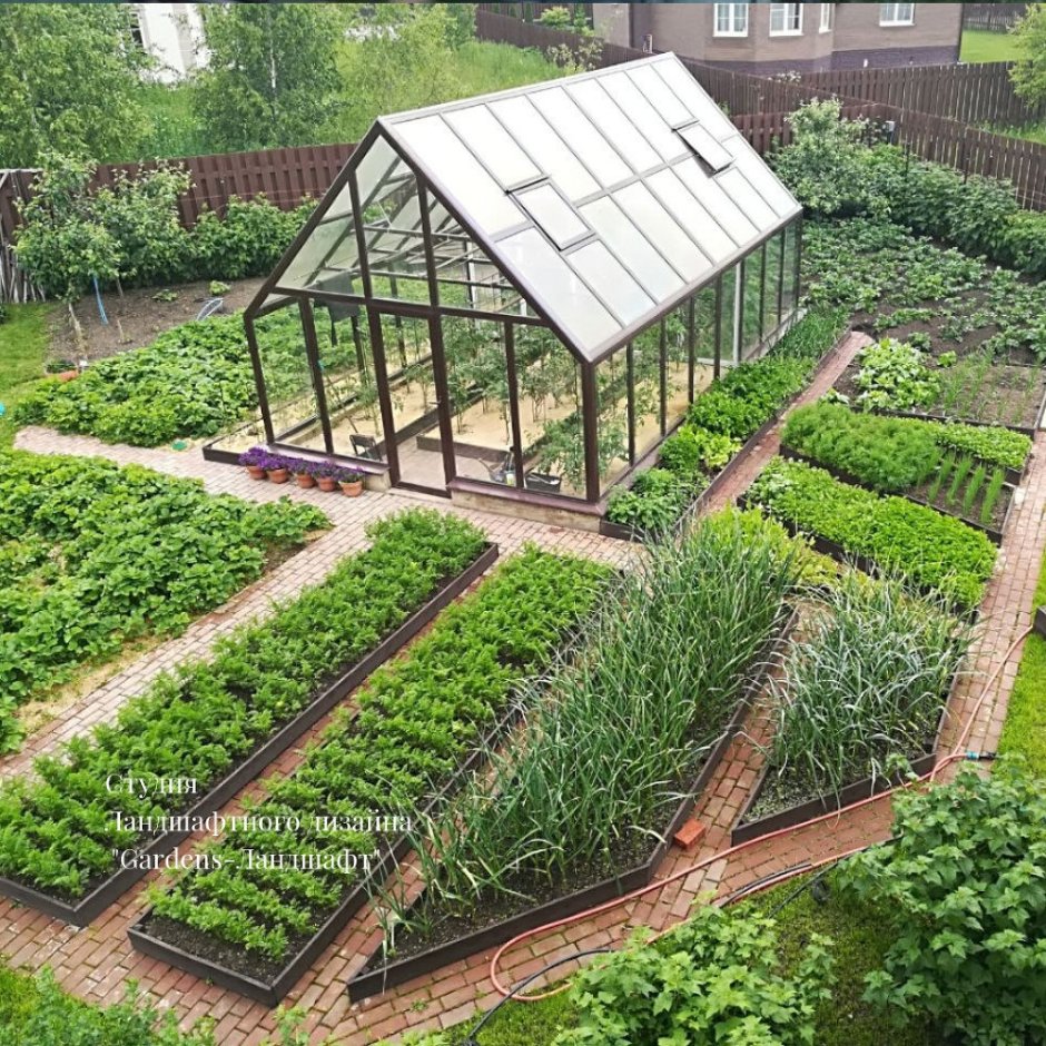 Красивые грядки