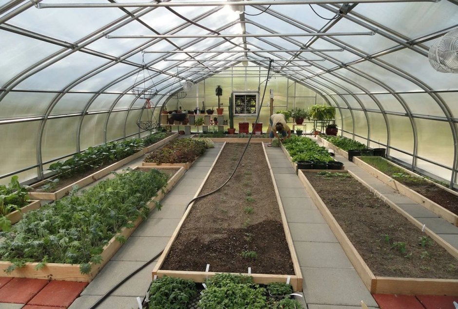 Дизайн маленького огорода с грядками и теплицей