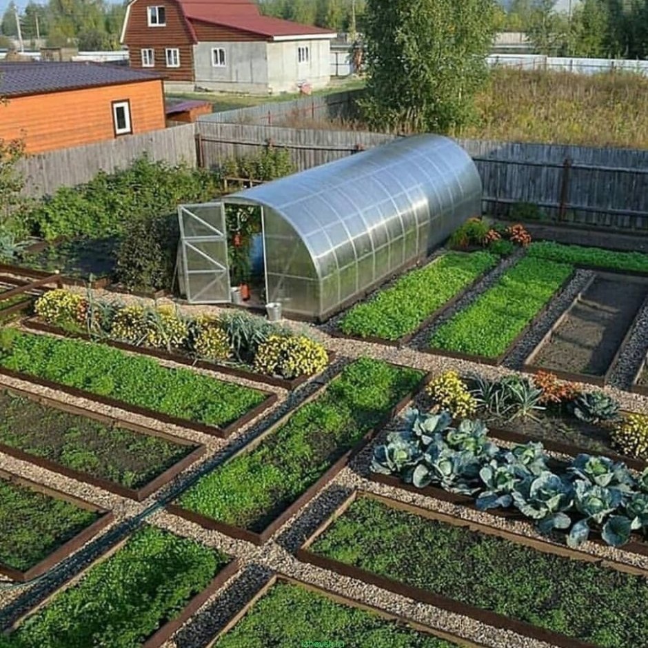 Грядки на даче