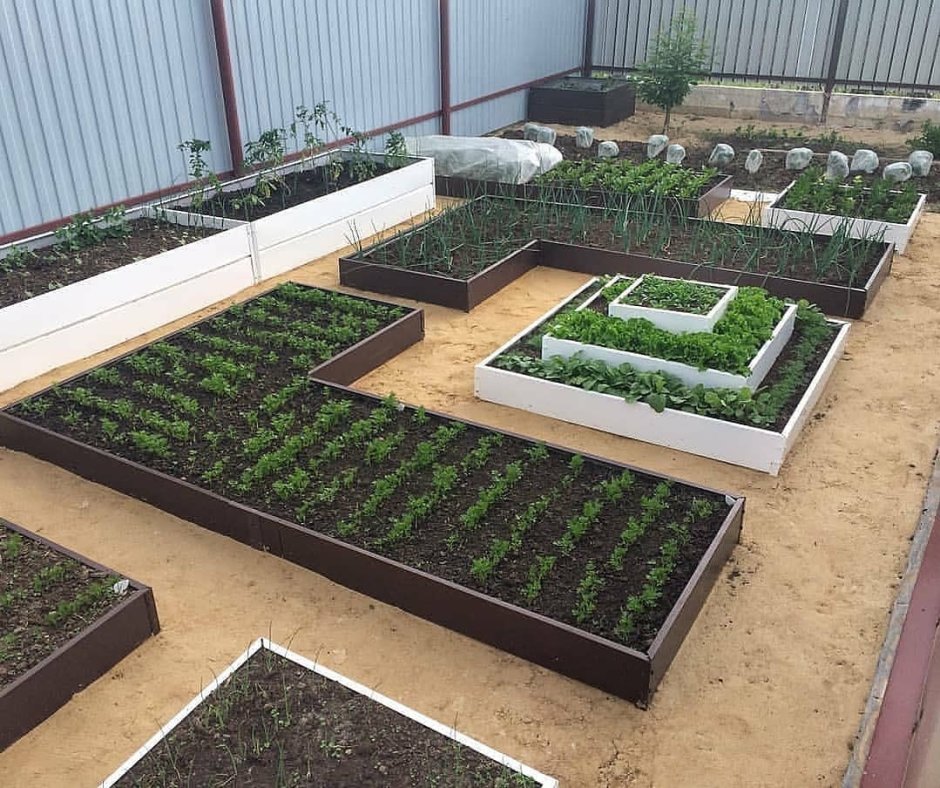 Красивые грядки на даче