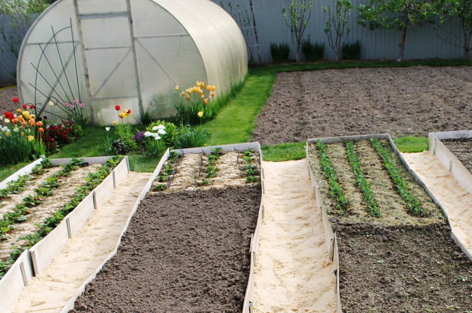 Цветник вокруг теплицы