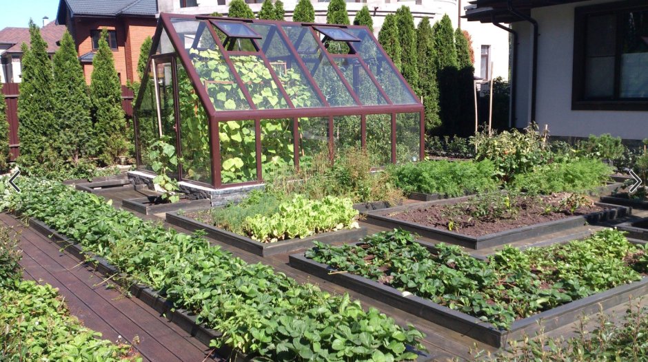 Маленький огород с теплицей