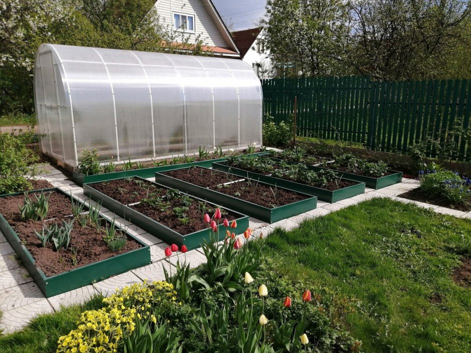 Грядки в огороде