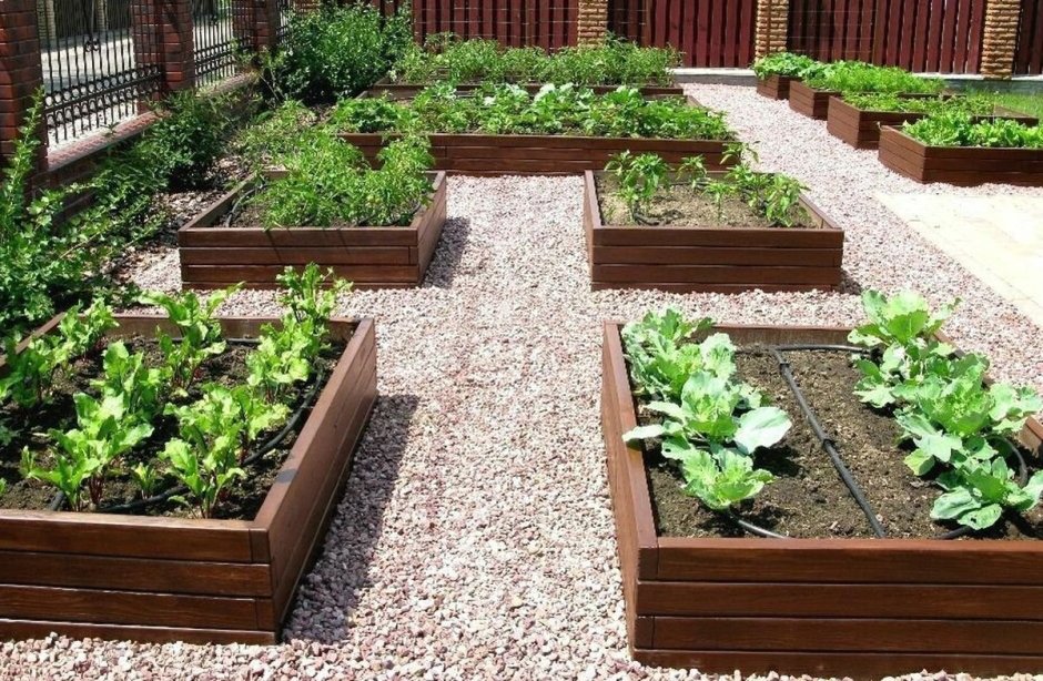 Декоративный огород