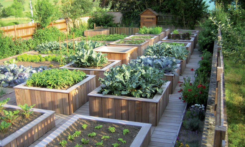 Красивый огород с высокими грядками