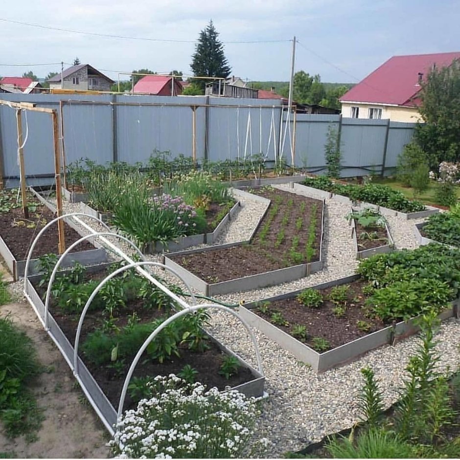 Планировка грядок на дачном участке