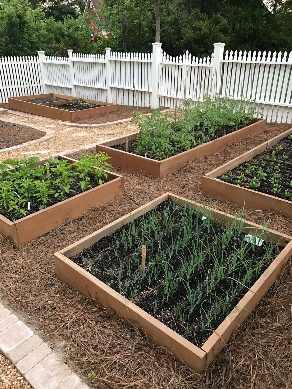 Аккуратные грядки