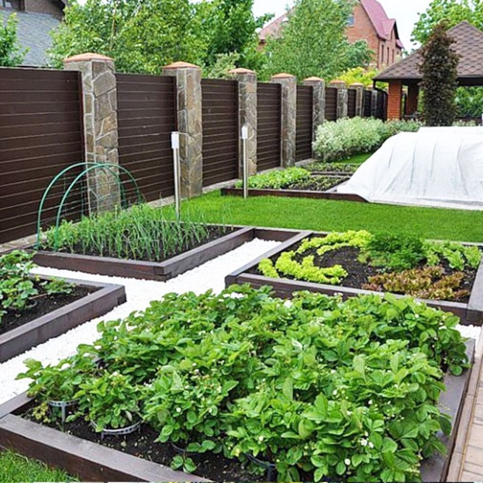 Ландшафтный дизайн огорода