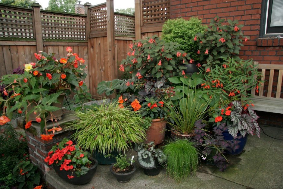 Цветы в горшках в саду