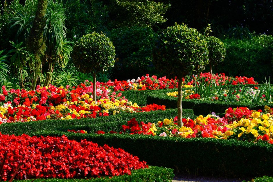 Красная клумба
