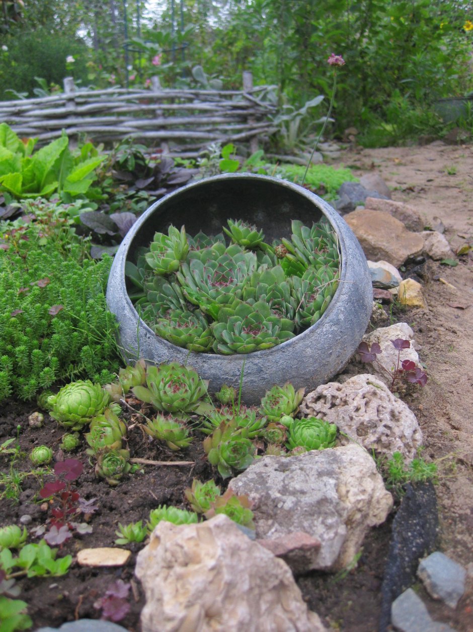 Клумбы из чугунка в саду