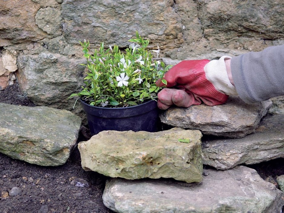 Горшки для альпийских горок