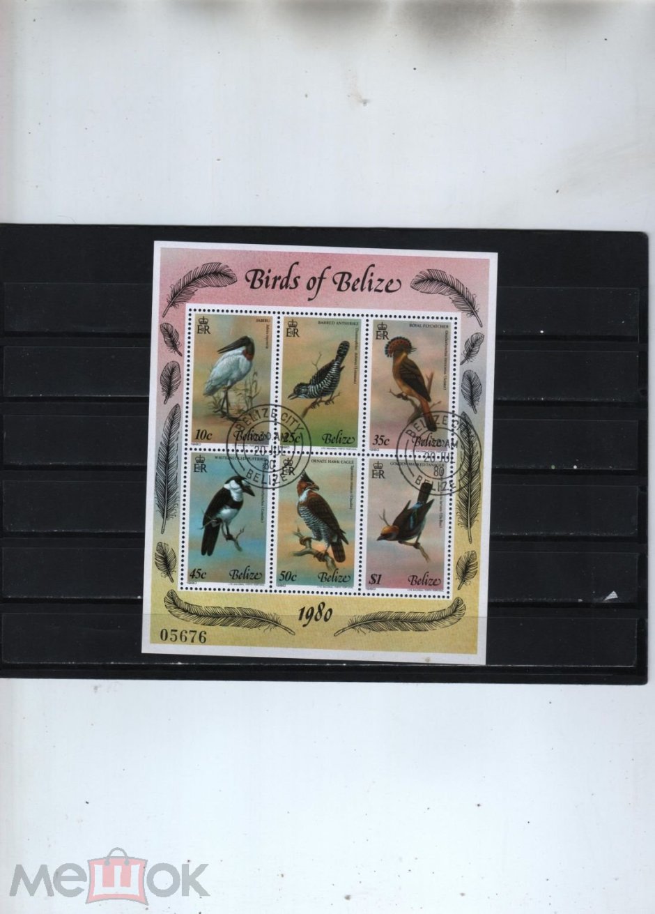 Коллекционер прикол