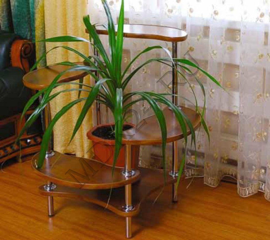 Комнатное растение в интерьере дизайн напольное
