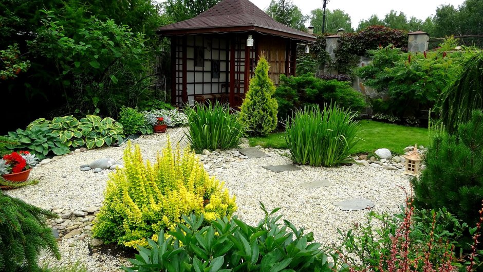 Озеленение участка