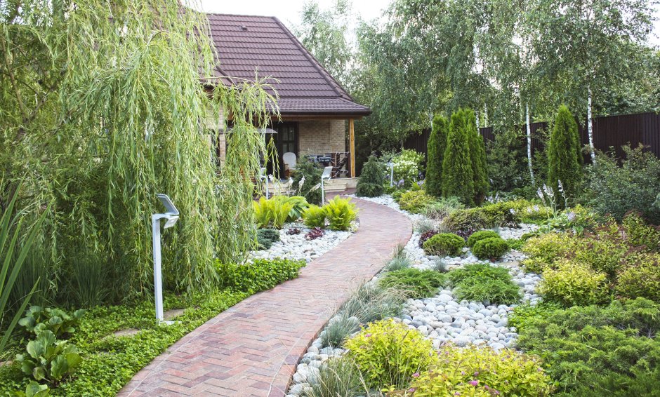 Озеленение с плакучими ивами