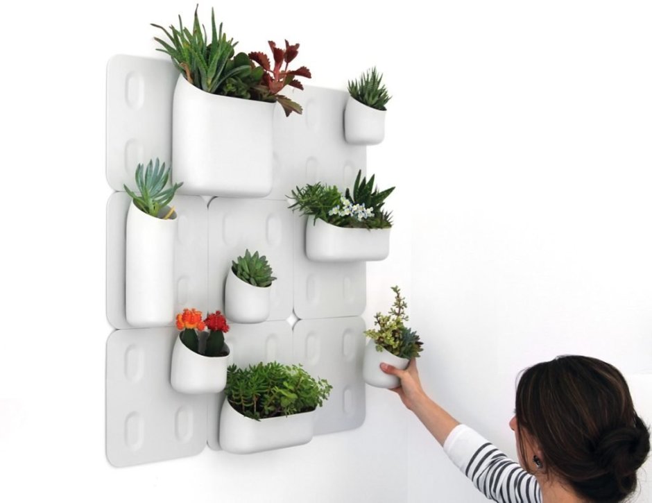 Фитомодуль икеа