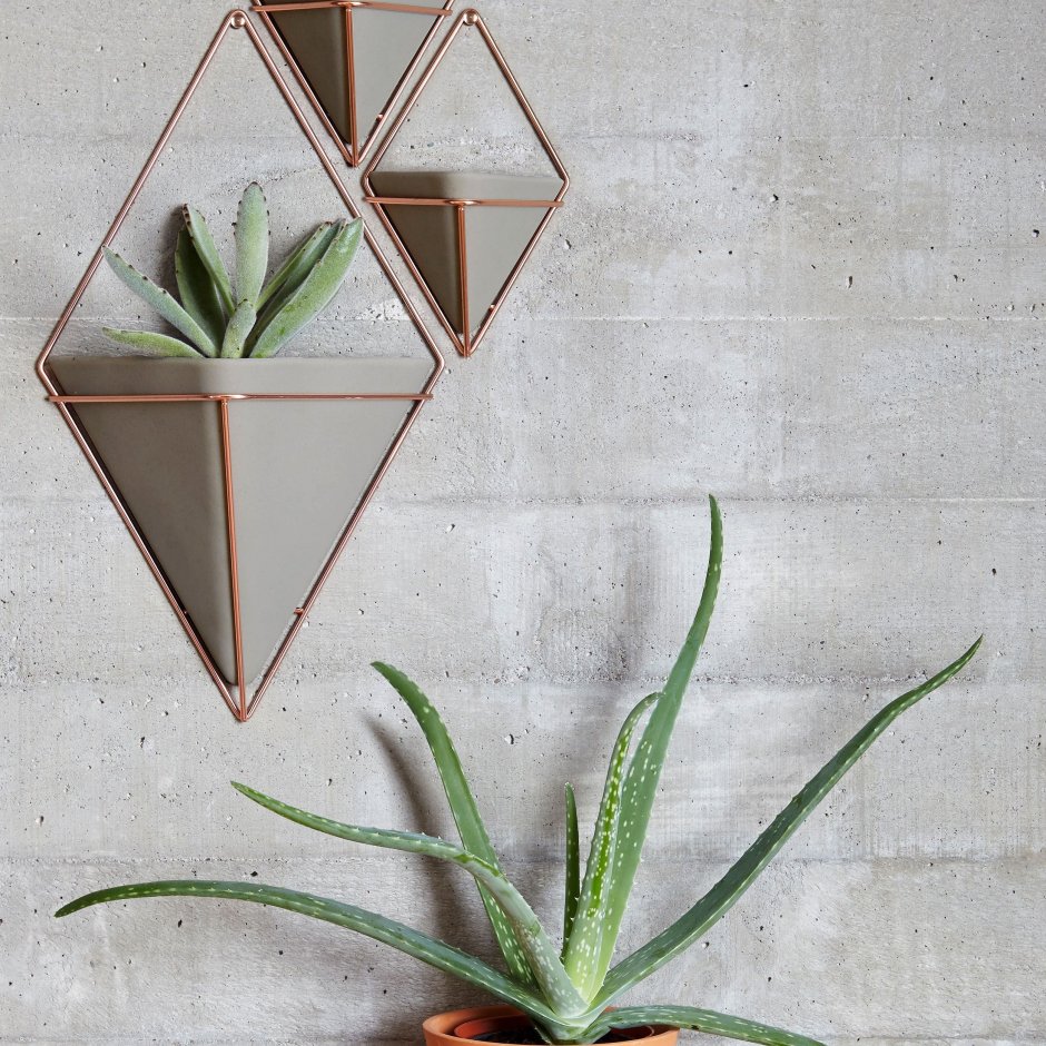 Настенные кашпо в интерьере