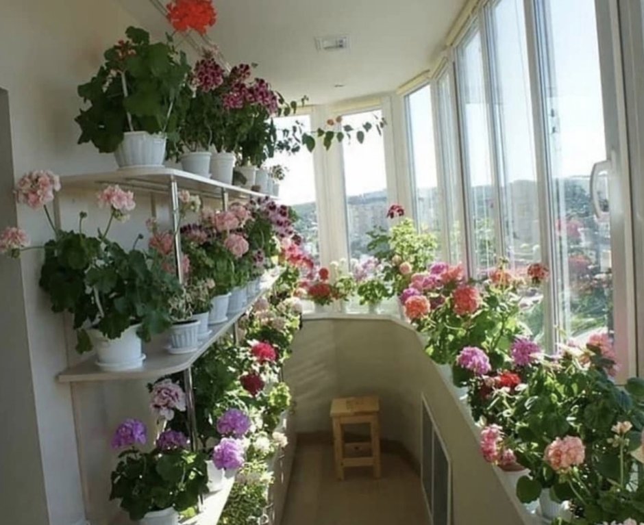 Застекленный балкон с цветами