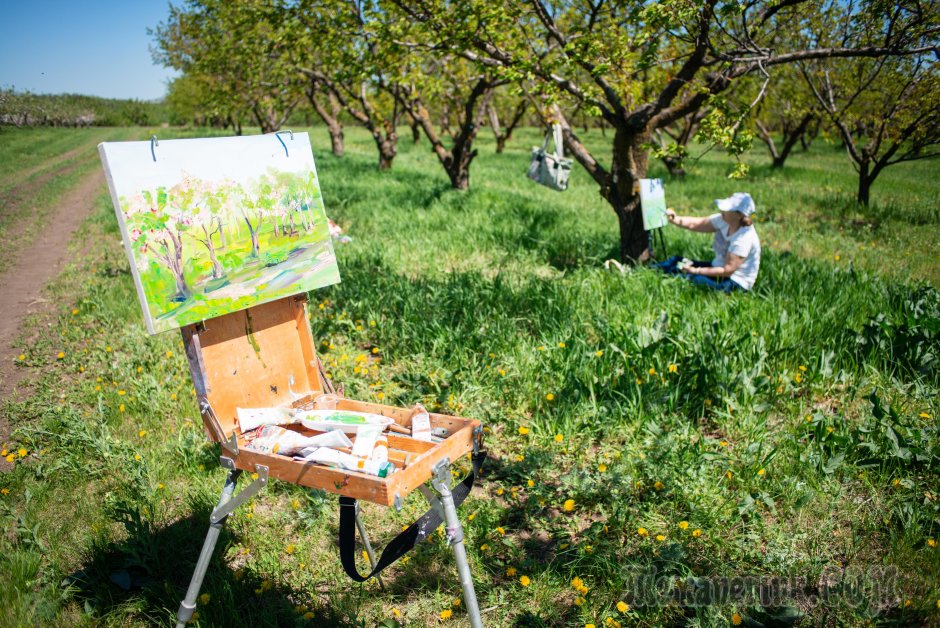 Пленэр Ростов