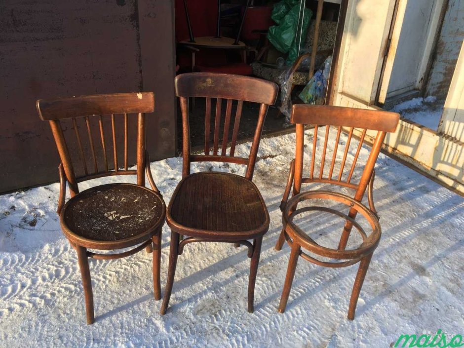 Дубовый стул Лигна