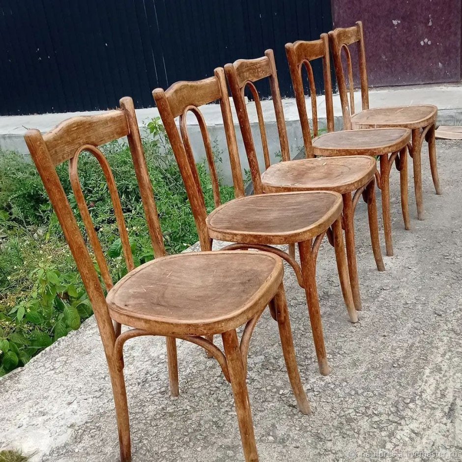 Стул дубовый