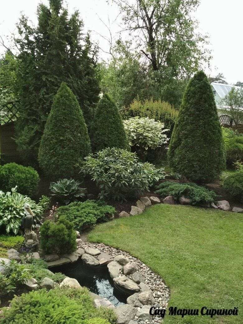 Парковый ландшафт из хвойников