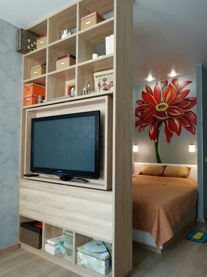 Перегородка с телевизором