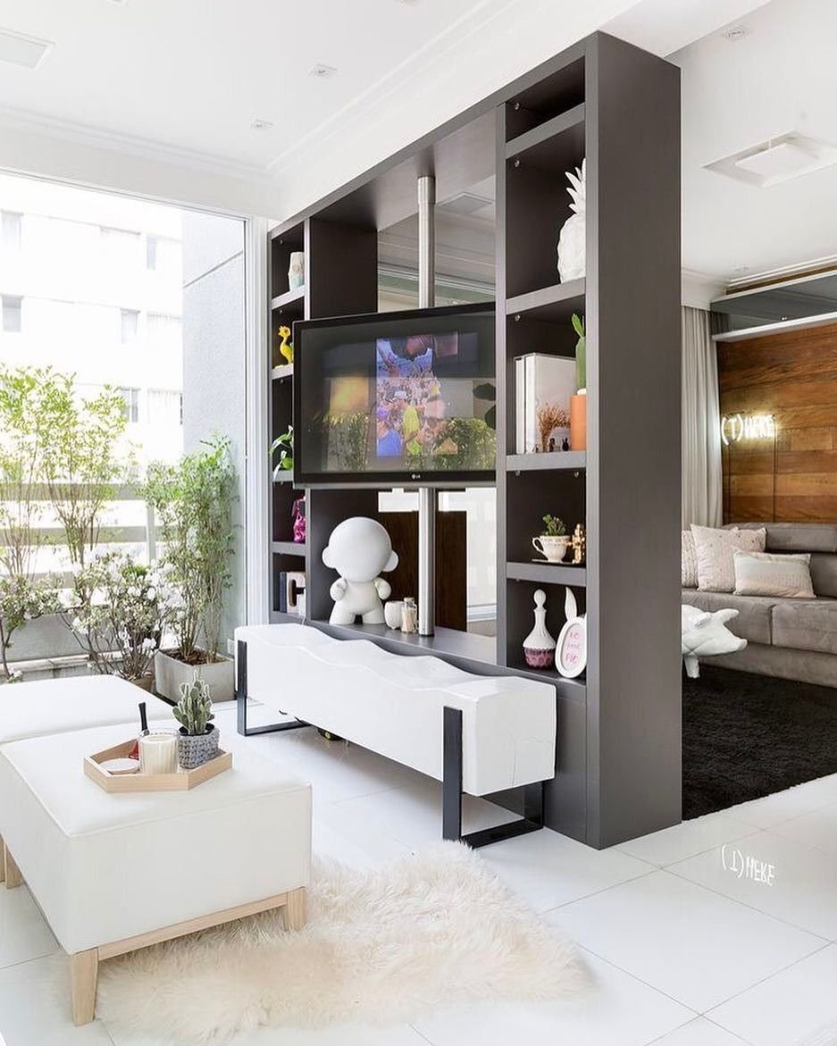 Перегородка с телевизором для зонирования