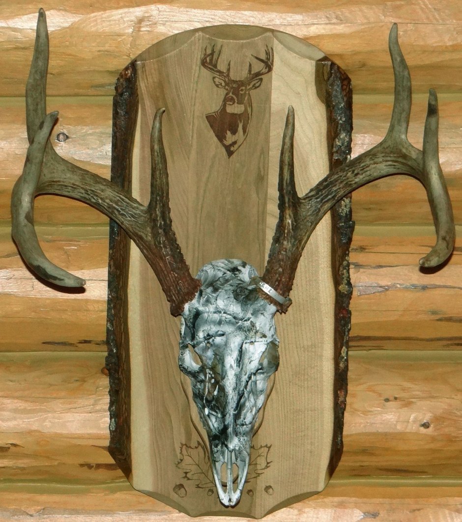 Подставка для Рогов оленя