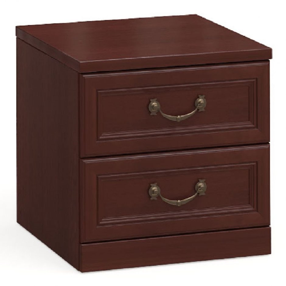 Камелия орех Шатура тумба