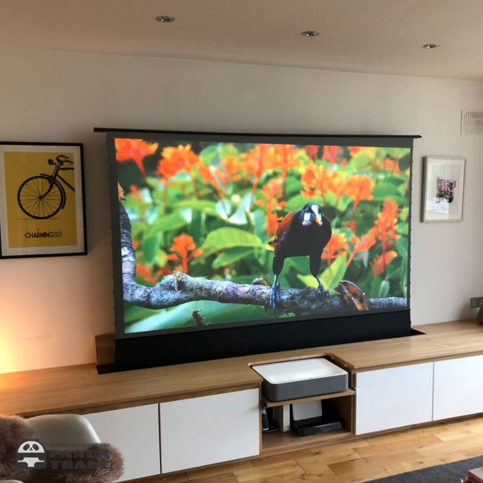 VIVIDSTORM S Pro ust ALR 100"