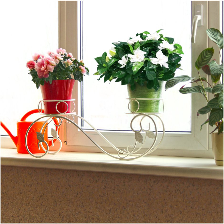 Подставки для цветов на подо