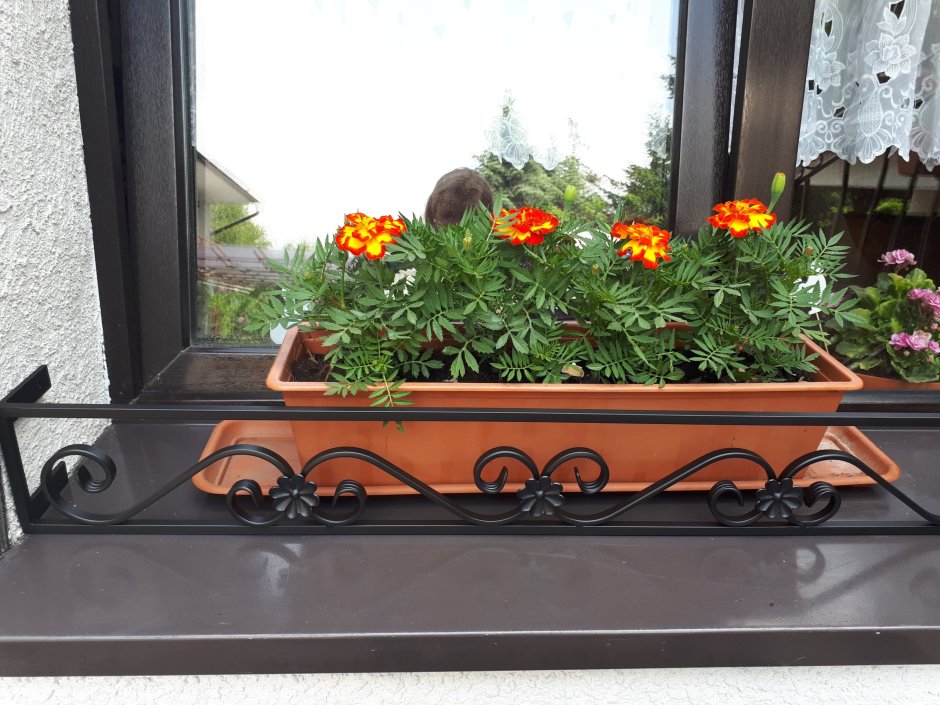 Цветник на окне