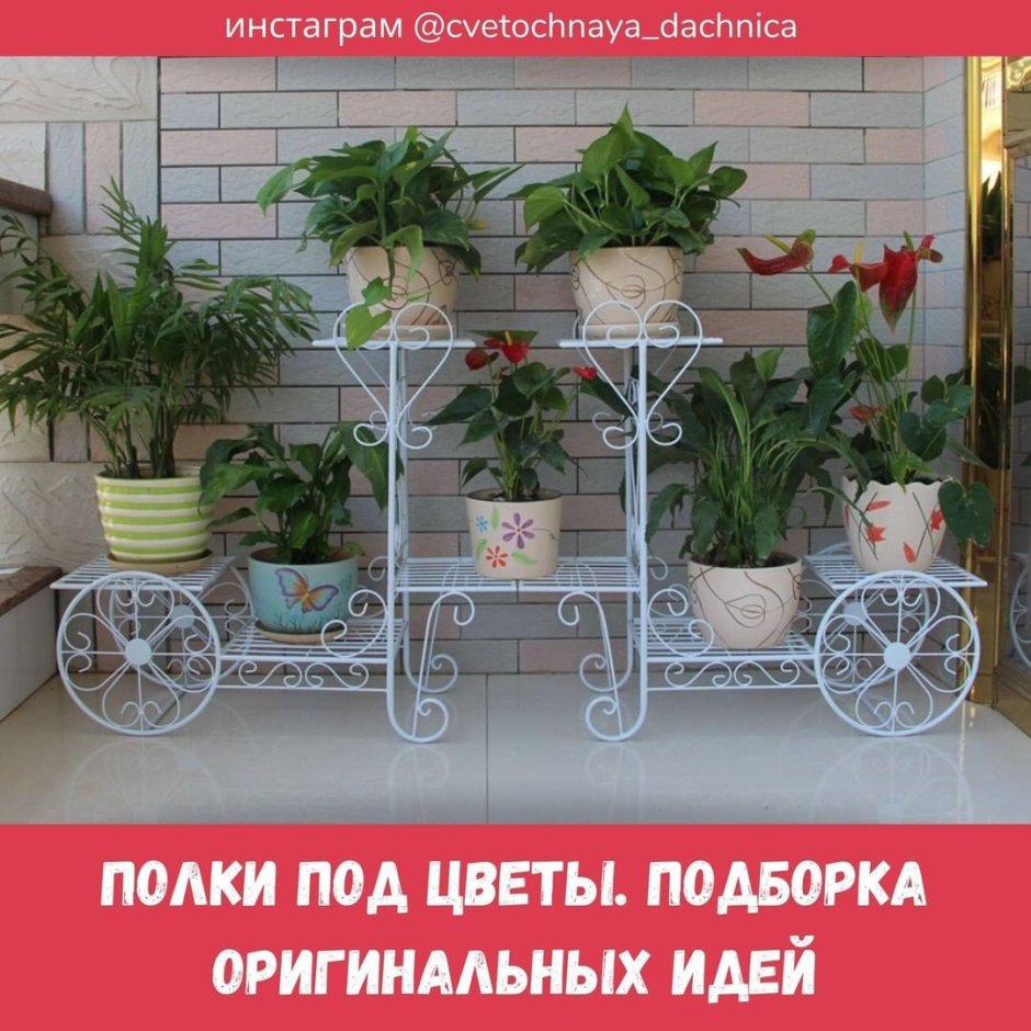 Лавочки для комнатных растений