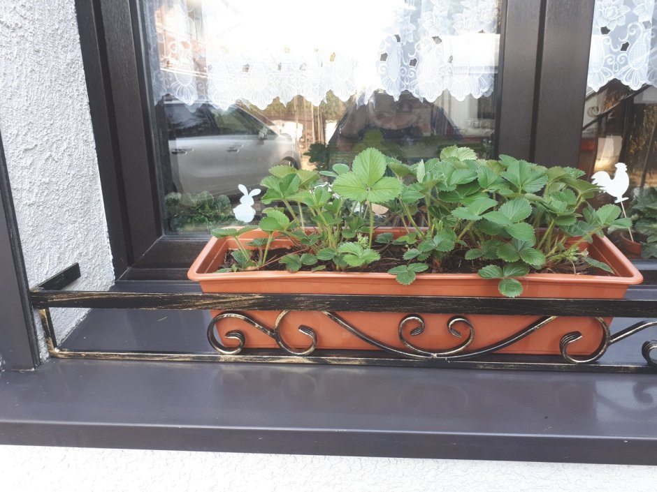 Цветочница на подоконник