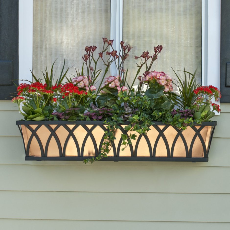 Цветник на окне