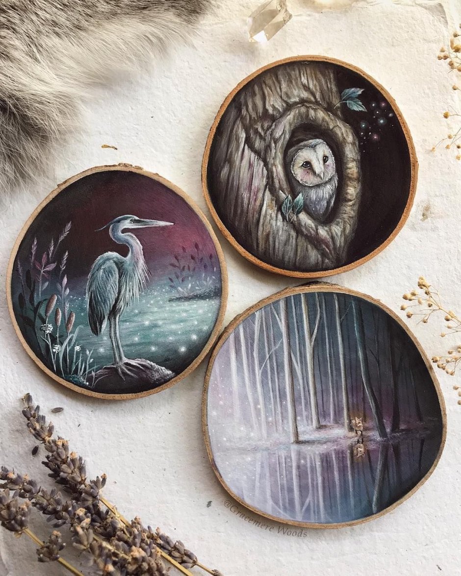 Художник Kimera Wachna